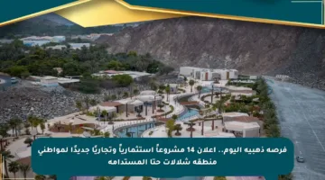 فرصة ذهبية اليوم.. إعلان 14 مشروعاً استثمارياً وتجاريًا جديدًا لمواطني منطقة شلالات حتا المستدامة